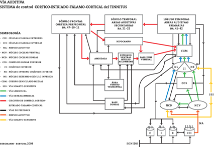 gráfico Via Tinnitus